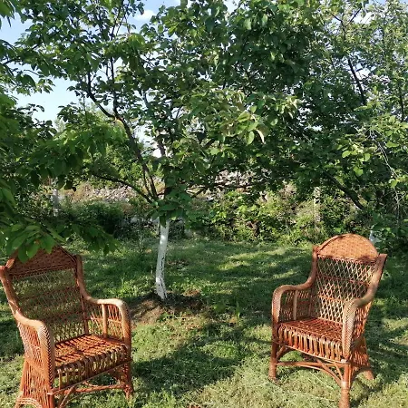 Apartment Bevanda