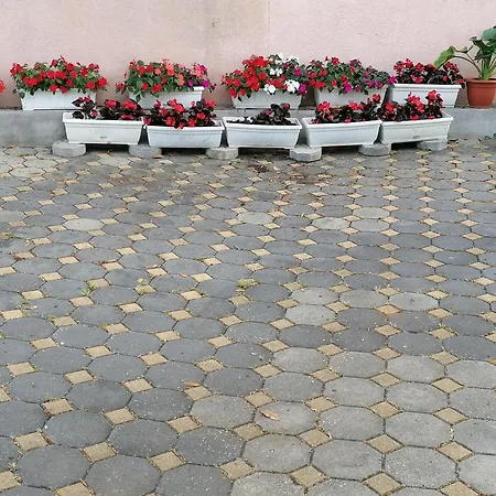 Bevanda Apartment *